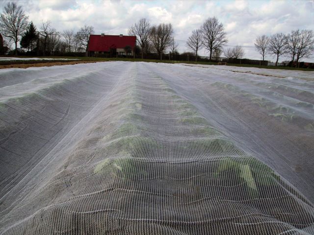 klimaatdoek Howicover 38g/m² 2x100m