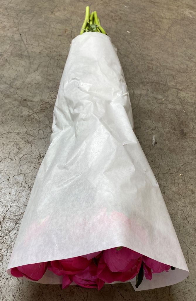 pioenpapier witkraft 50x75cm gebogen plt