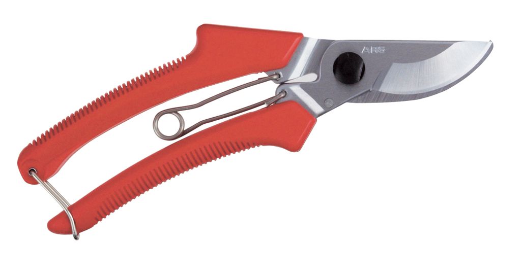 presenteerschaar ARS rozen 19,5cm