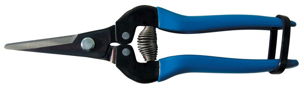 fruitschaar ARS 19cm recht blauw lang