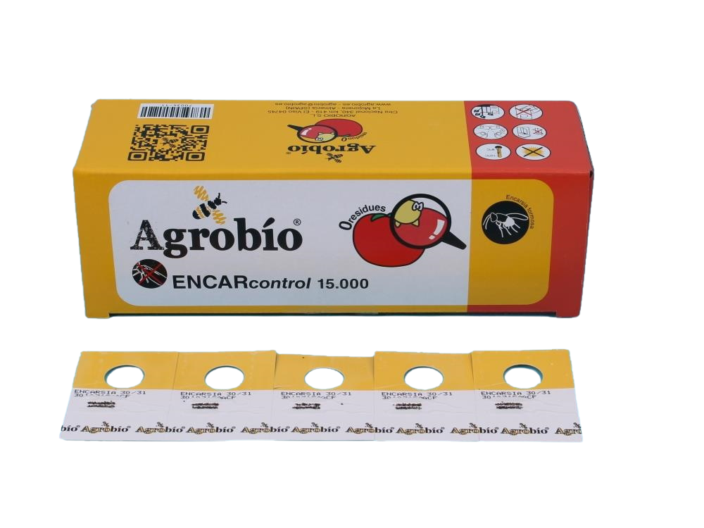 ENCARcontrol 250 kaarten a 60 poppen AB