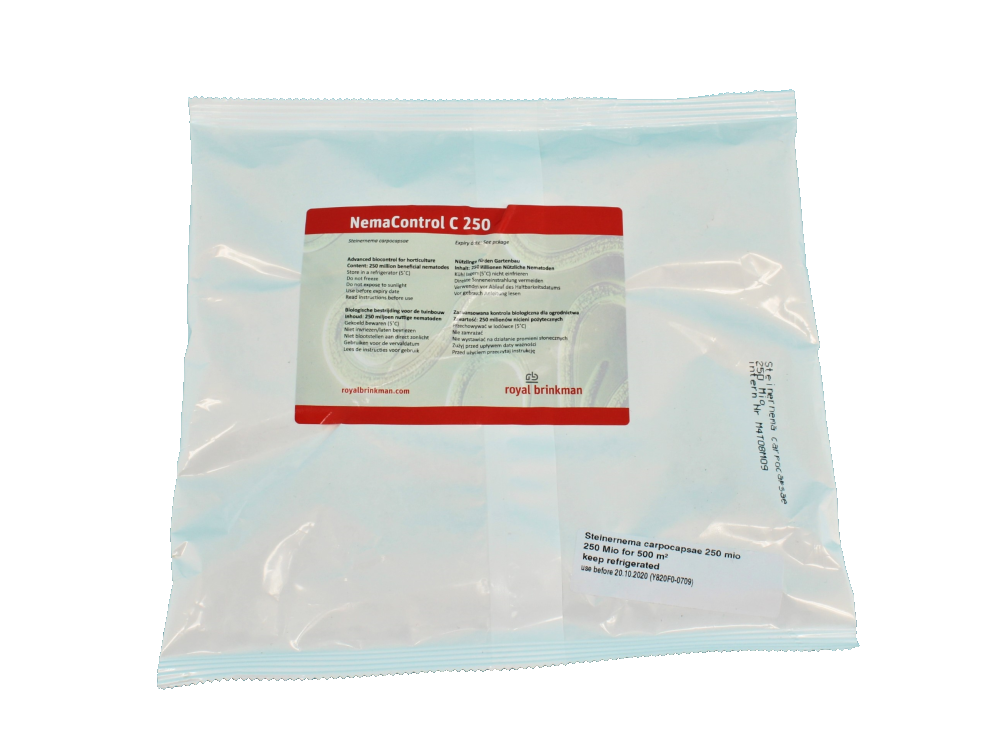 NEMAControl Carpocapsae (pow)250 miljoen