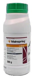 Mainspring 200gr