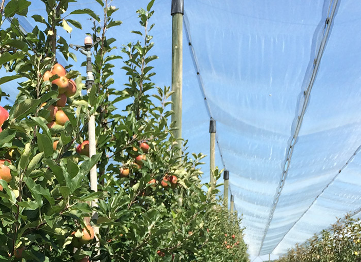 vliegengaas maas 0,95x1,35mm 4x100m