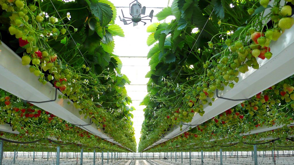 Nivolator tve-7, v-9 wit alu excl. korf