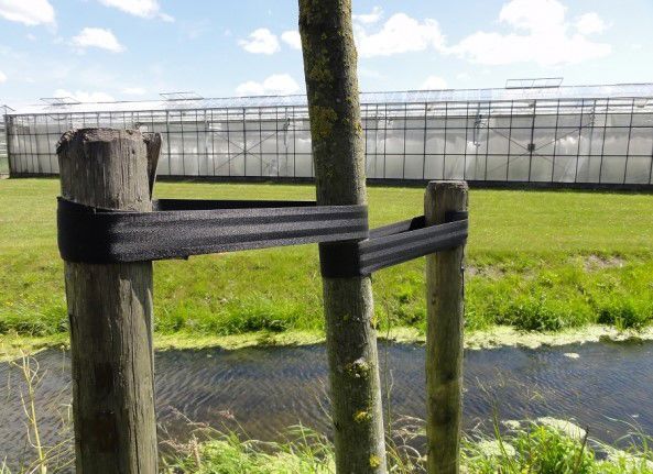 boomband(autogordel) 50mm -100m