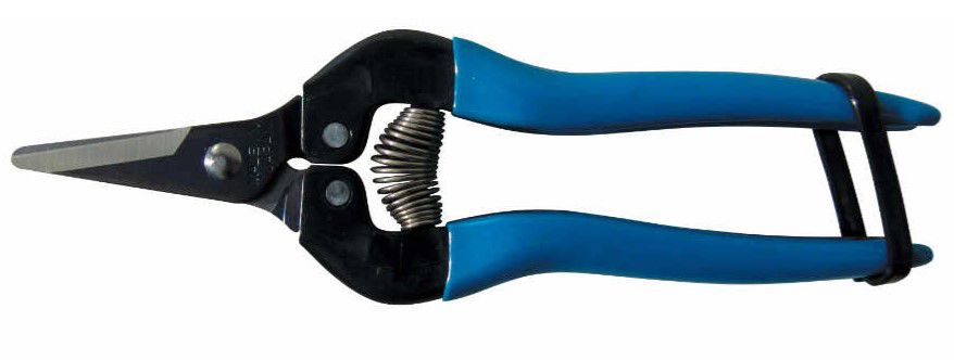 fruitschaar ARS 16 cm gebogen blauw kort