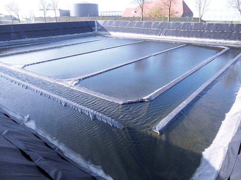 Multi-F dek anti alg zeil