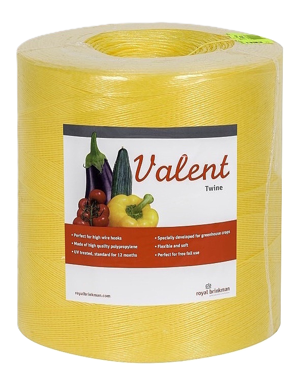 touw valent twine 1/1500 geel 6kg