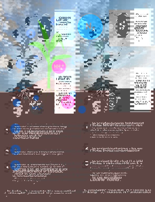 BlueN Stikstofbindende bacteriën 1kg