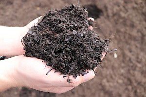 Vigro Bosstrooisel - big bag