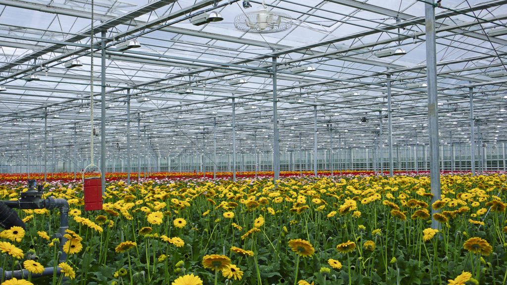 Nivolator tve-7, v-9 wit alu excl. korf