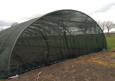 schermgaas Avoida 98mmt 2x100m groen