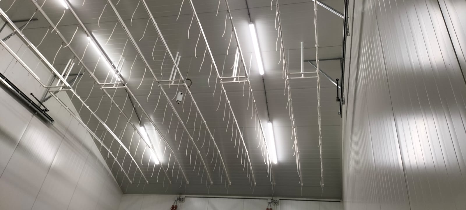 Duurzaam en Innovatief project bij DutchFlora — Optimalisatie van Water en Klimaat