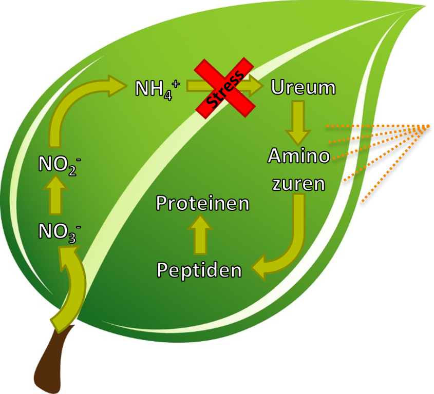 Optima Leaf Amino aminozuren 17,5 liter