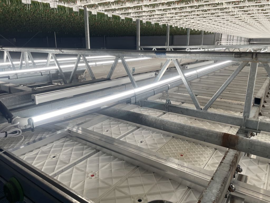 LED tube zonl. 1x180cm 35W interne drive