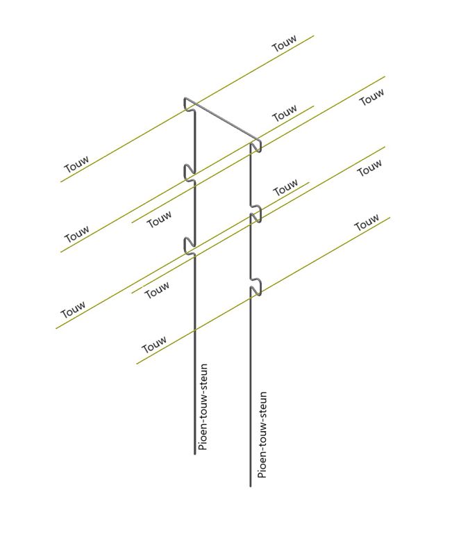 pioen-touw-steun 900x250x6mm 6 oortjes