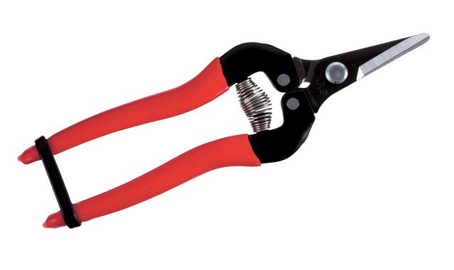 fruitschaar ARS 17 cm recht rood kort