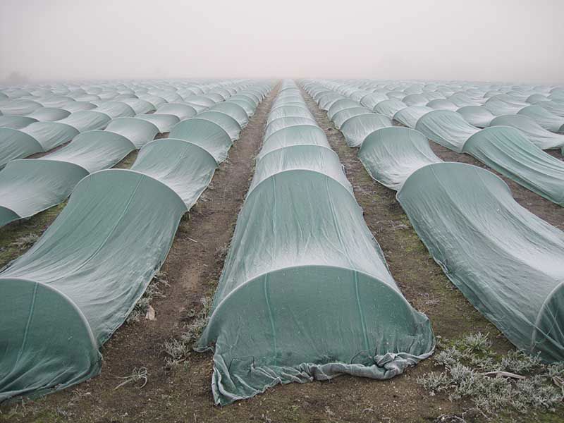 tunnelgaas Protecta 56T 3x100m groen