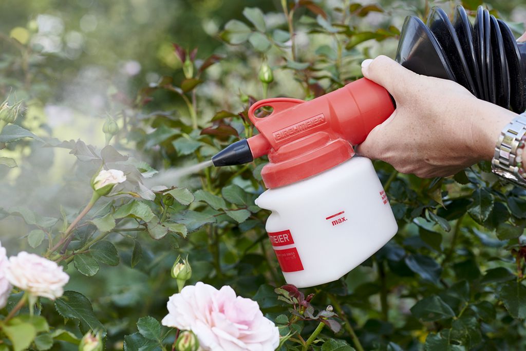 bobby verstuiver 500 gram