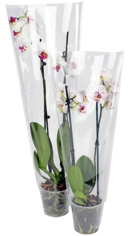 hoezen 68-32-14 opp50+LG 1000/ds