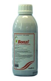 Bonzi 1 liter