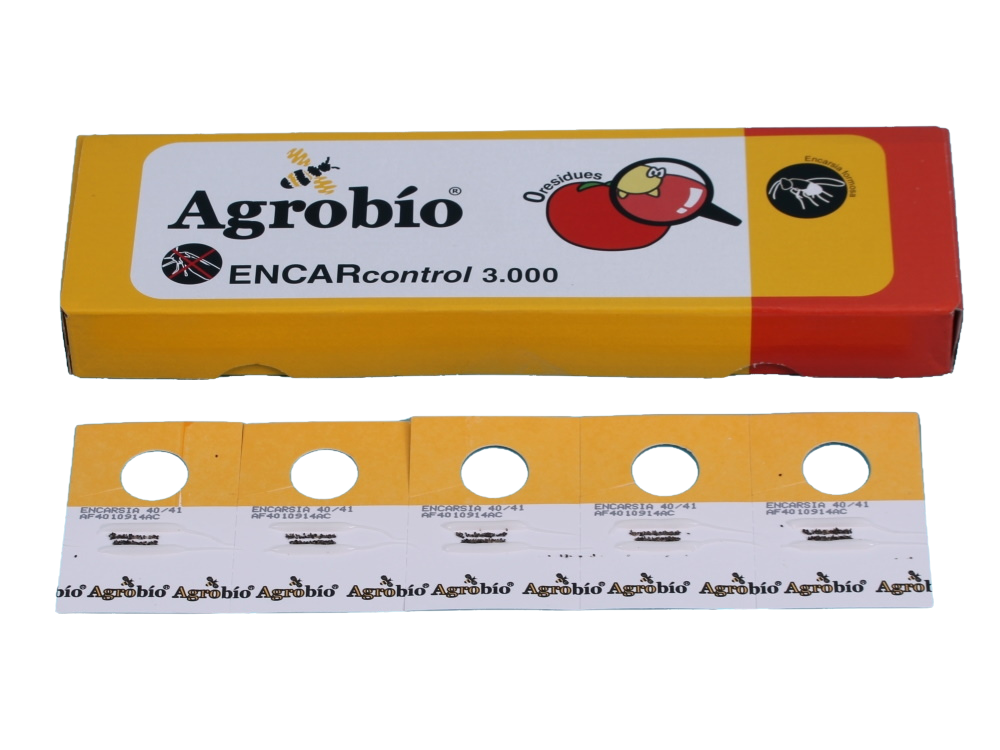 ENCARcontrol 50 kaarten a 60 poppen AB