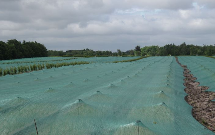 zaaibeddennet 30t groen 8x100m