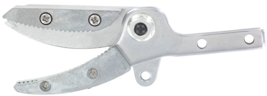 snoei/presenteerkop voor  ARSschaar