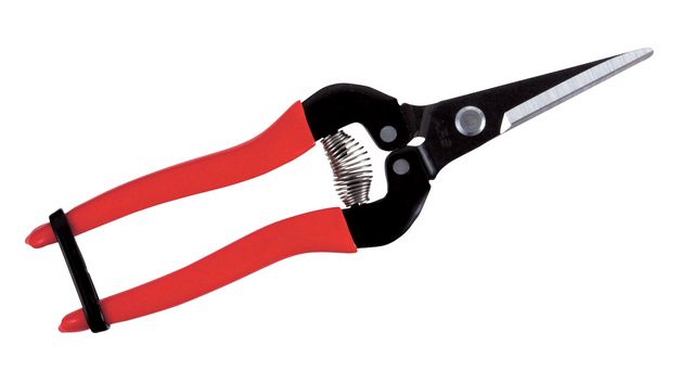 fruitschaar ARS 19 cm recht rood lang