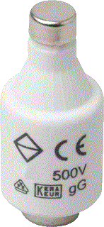 zekering DII 20A 500V per stuk