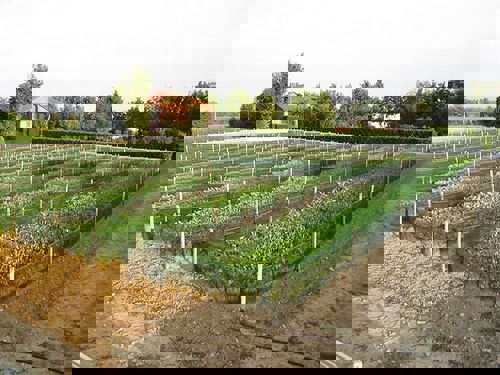 slakkenscherm zwart 1x100m