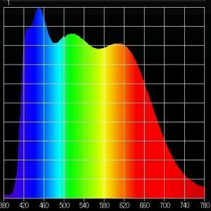 stekker vrouw Wieland RST16i3 1m turquoi