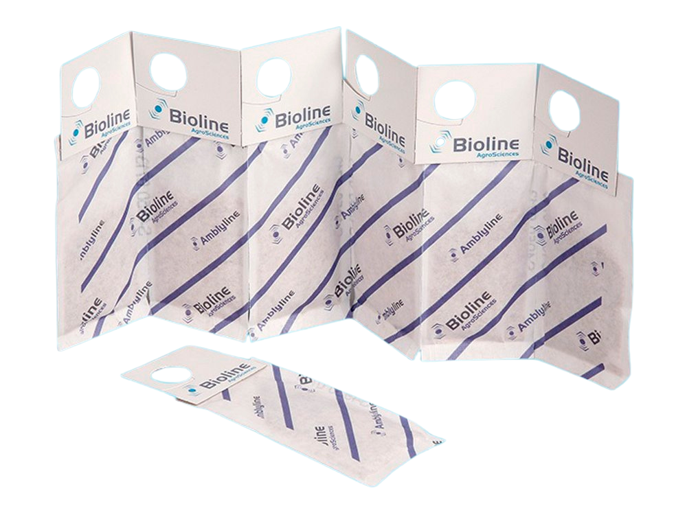 Amblyline cu 1.000 mini haakzakjes SY