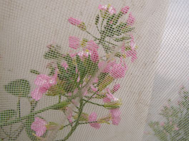 mineervlieggaas maas 0,8x0,8 3,x100m