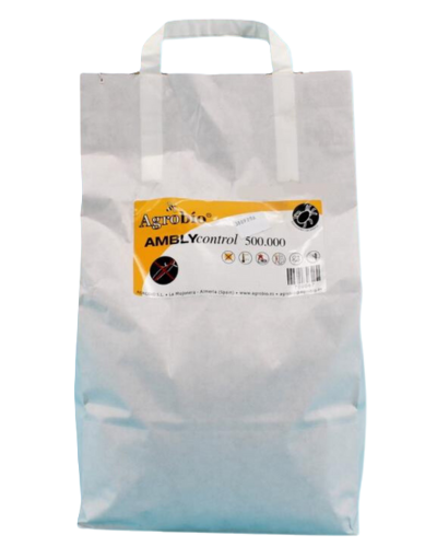 AMBLYcontrol 500.000/zak AB