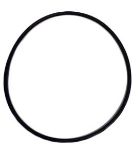 Dosatron O-ring pomphuis D45