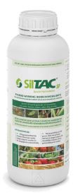 Siltac SF 1 liter