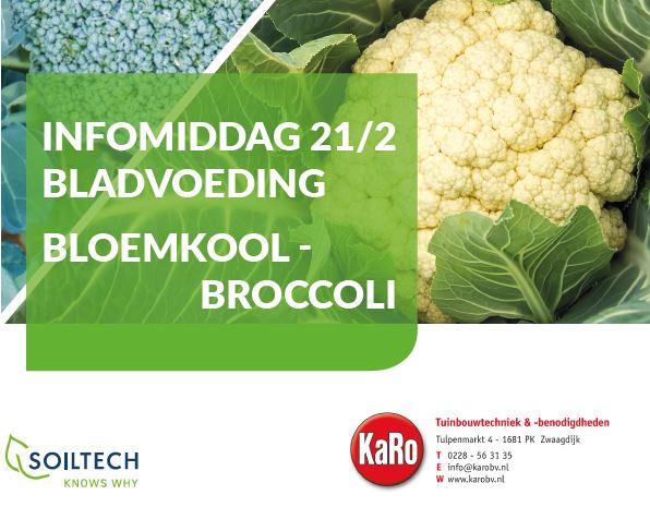 bloemkool-broccoli dag